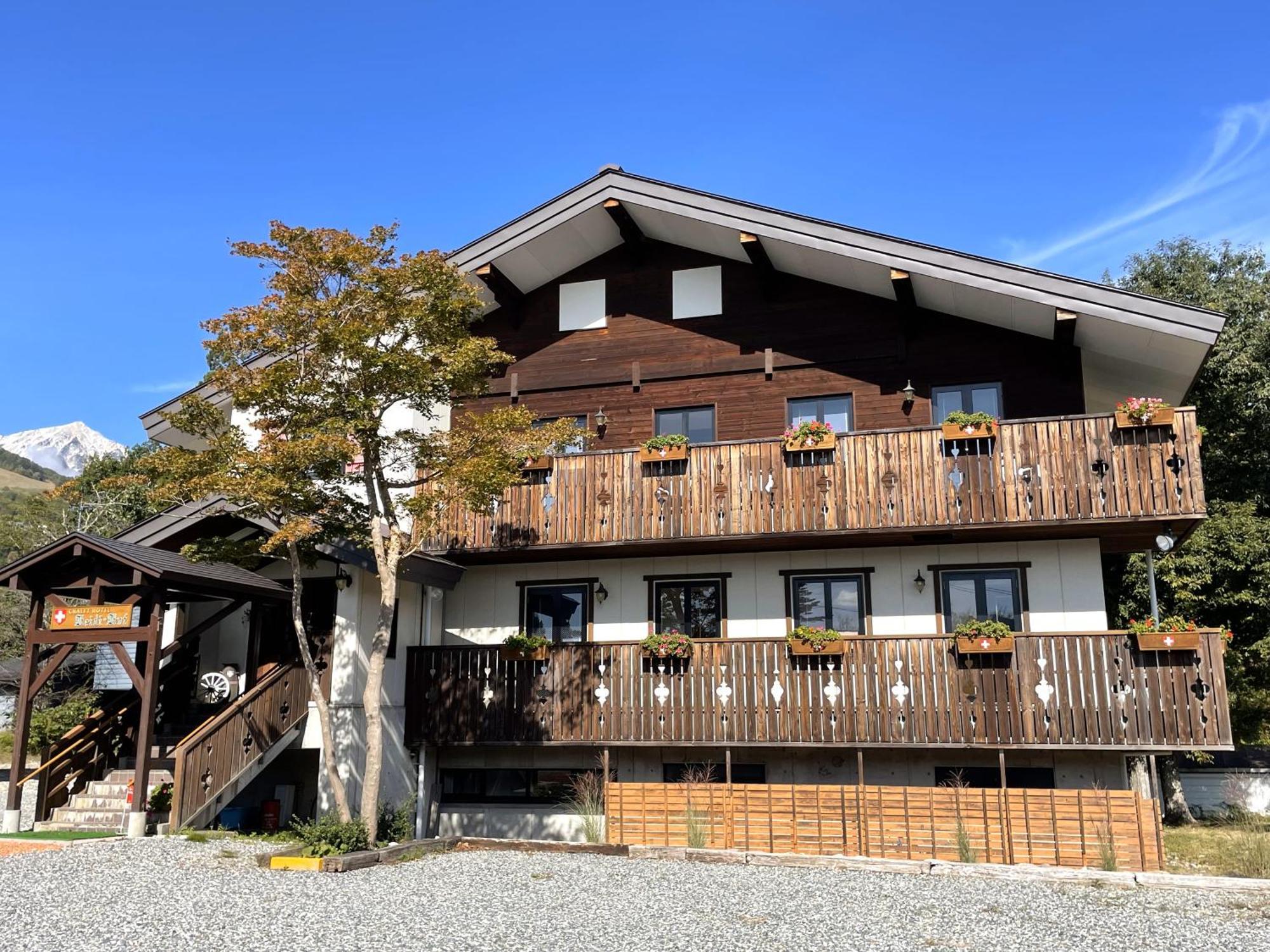 Heidihof Hotel Хакуба-Мура Экстерьер фото